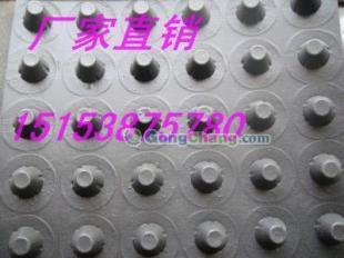 供应西安地下车库顶板排水板,西安塑料滤水板_建筑建材_世界工厂网中国产品信息库
